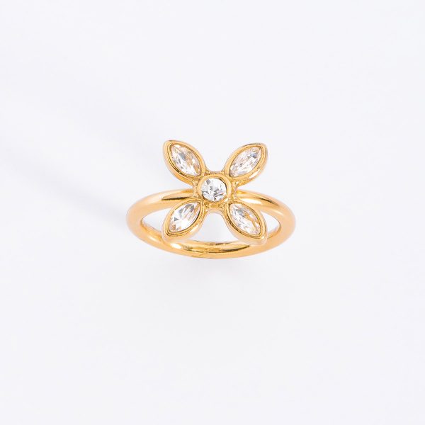 Anillo 223036