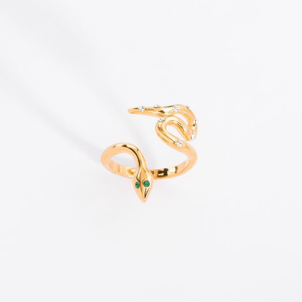 Anillo 223096