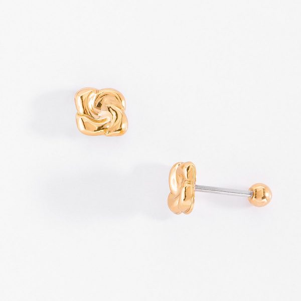Aretes 323496L