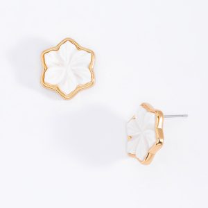 Aretes 223443L