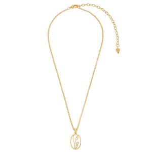 Collar 122444